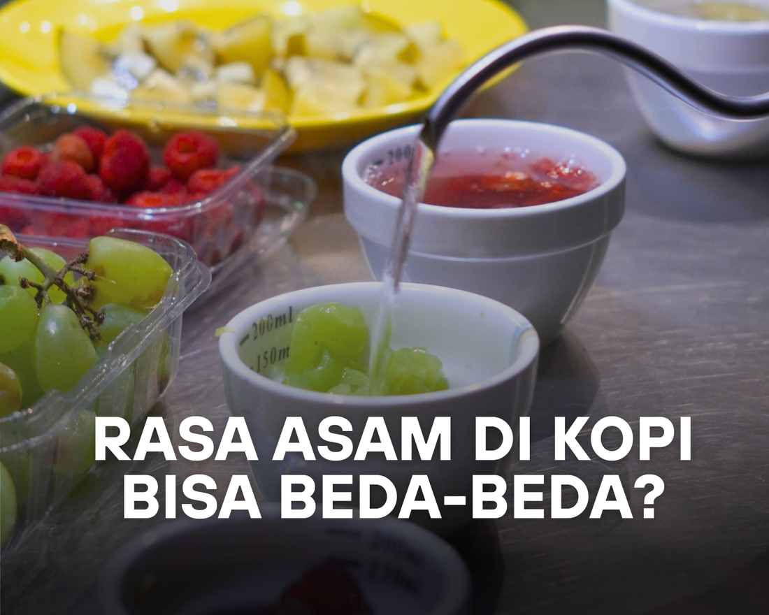 5 Jenis Acidity Pada Kopi