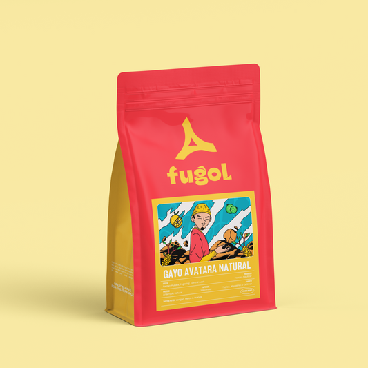 Gayo Avatara Anaerobic Natural