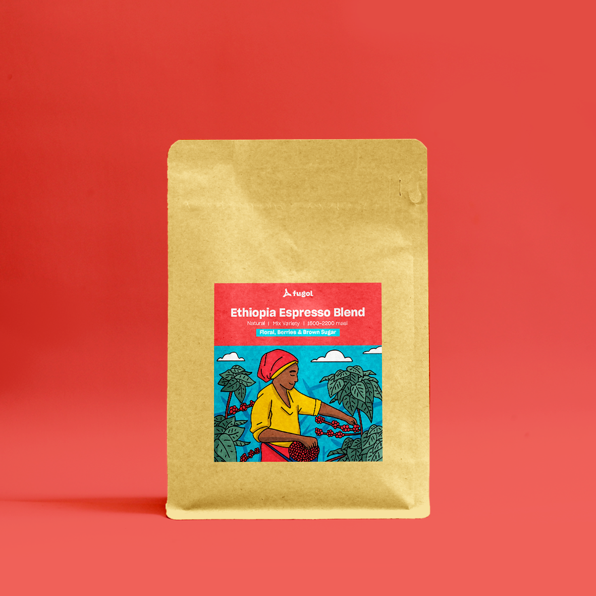 Ethiopia Espresso Blend