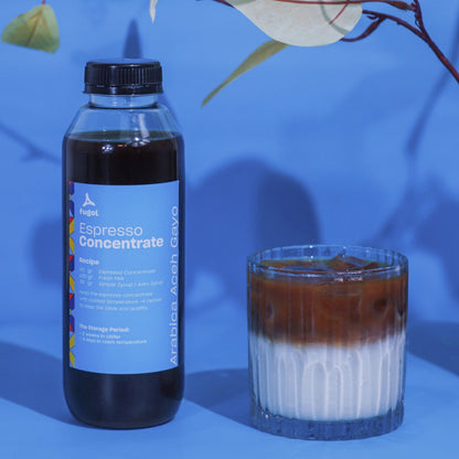 Espresso Concentrate Aceh Gayo