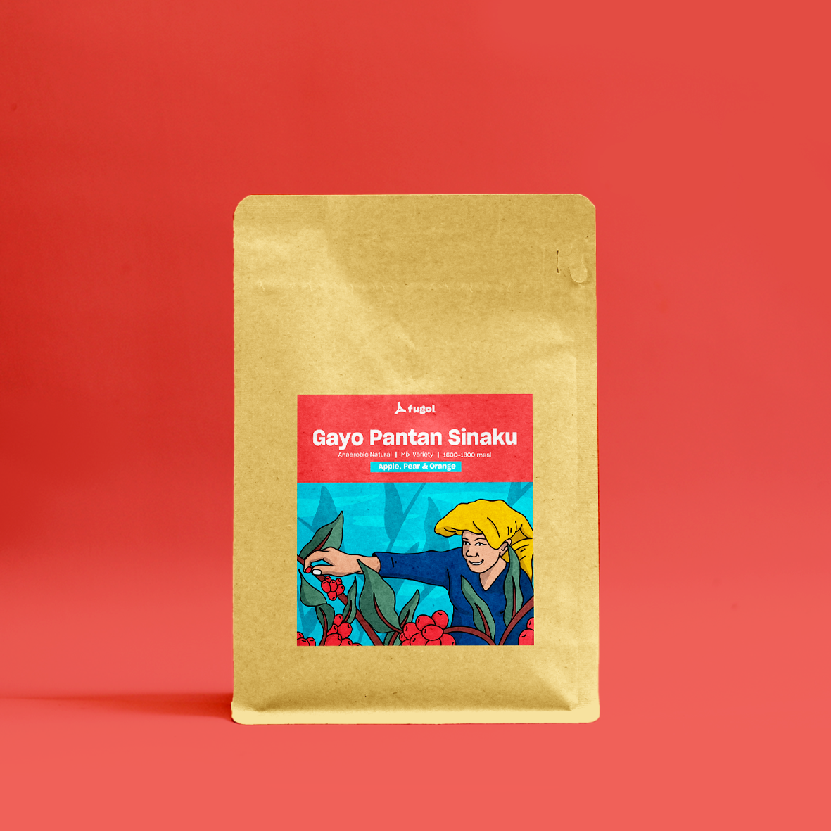 Aceh Gayo Pantan Sinaku