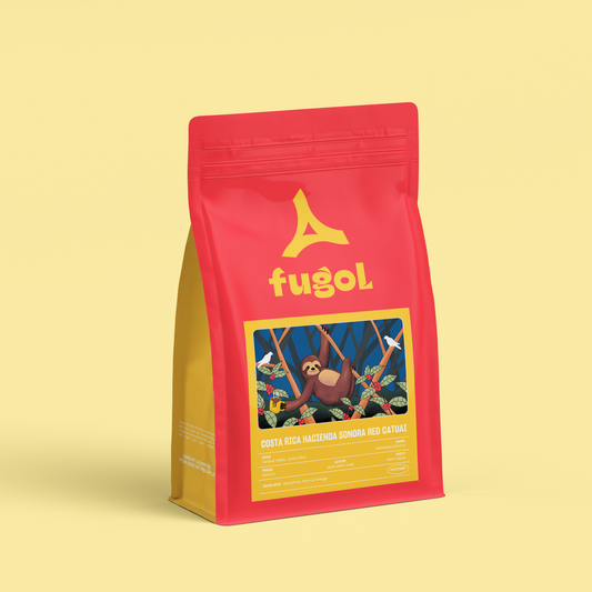 Costa Rica Hacienda Sonora Red Catuai Natural